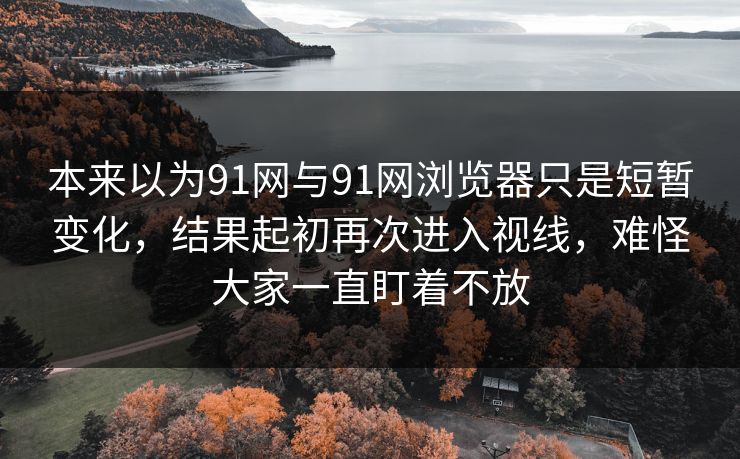 本来以为91网与91网浏览器只是短暂变化，结果起初再次进入视线，难怪大家一直盯着不放